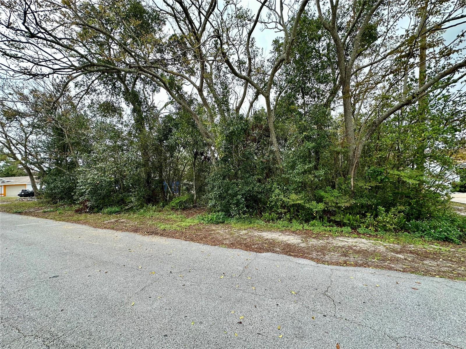 Image 2 of 4 For 761 Arlene Drive