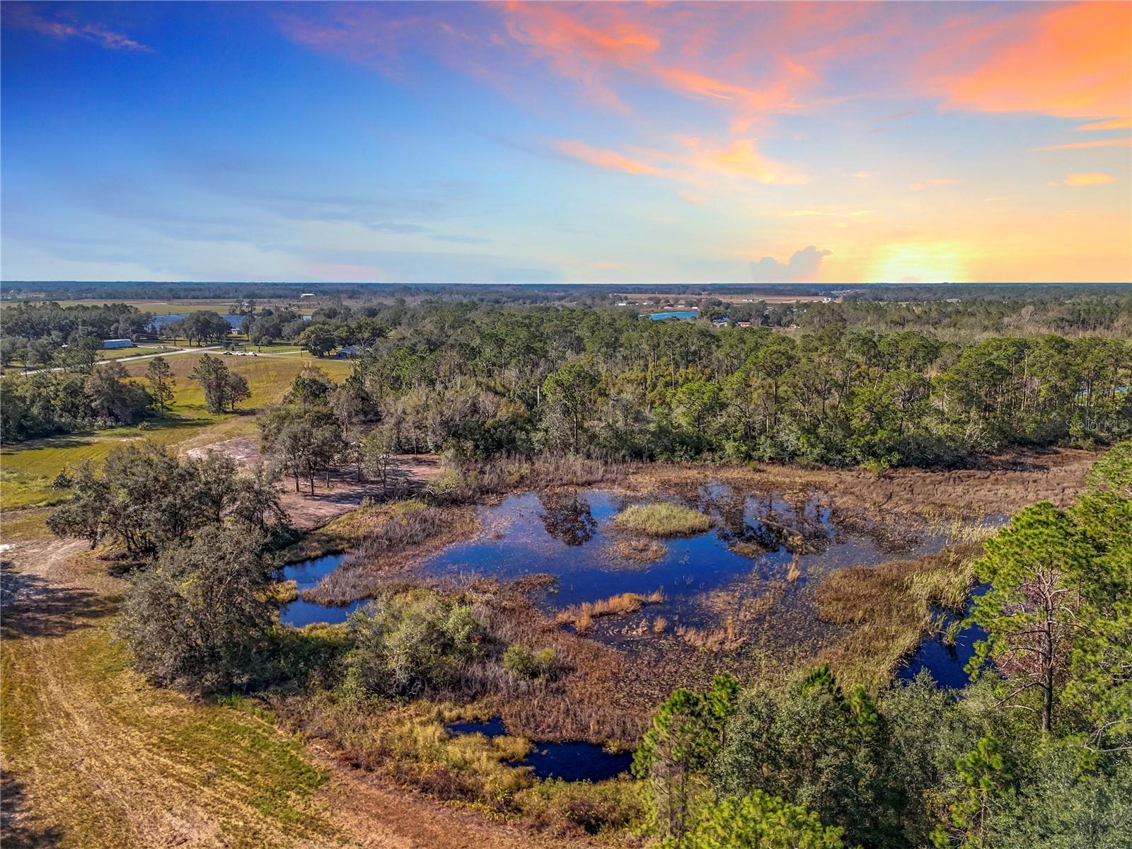 Details for Pine Island Road, CLERMONT, FL 34711