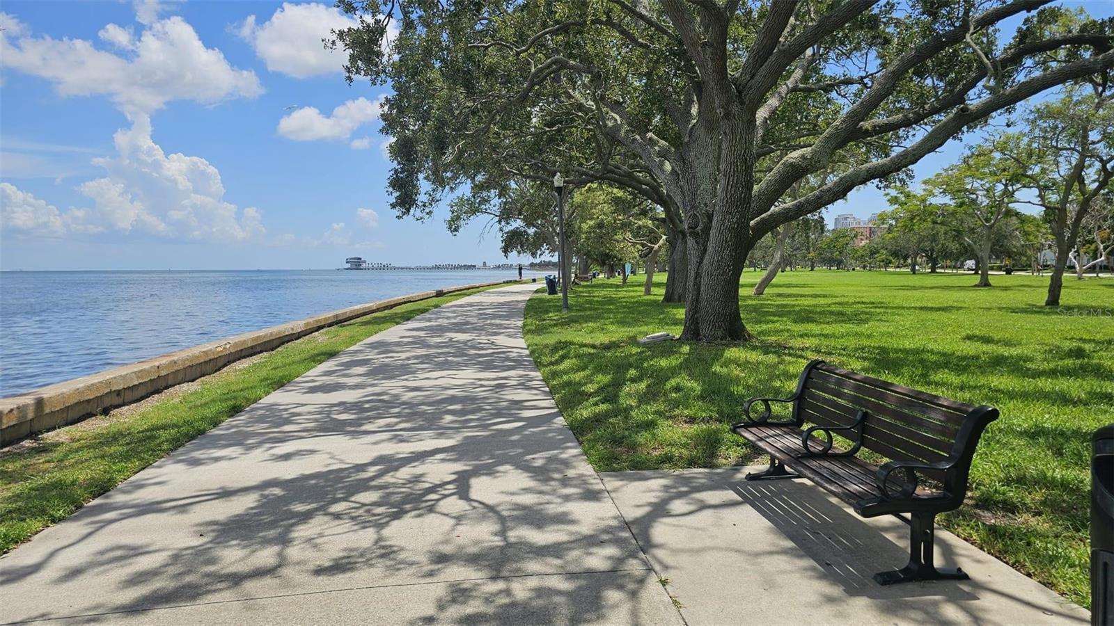 Image 6 of 7 For 515 Snell Isle Boulevard Ne