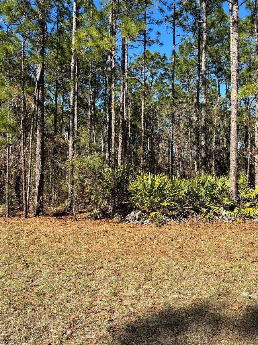 Image 3 of 10 For Lot 5 138 Street Road
