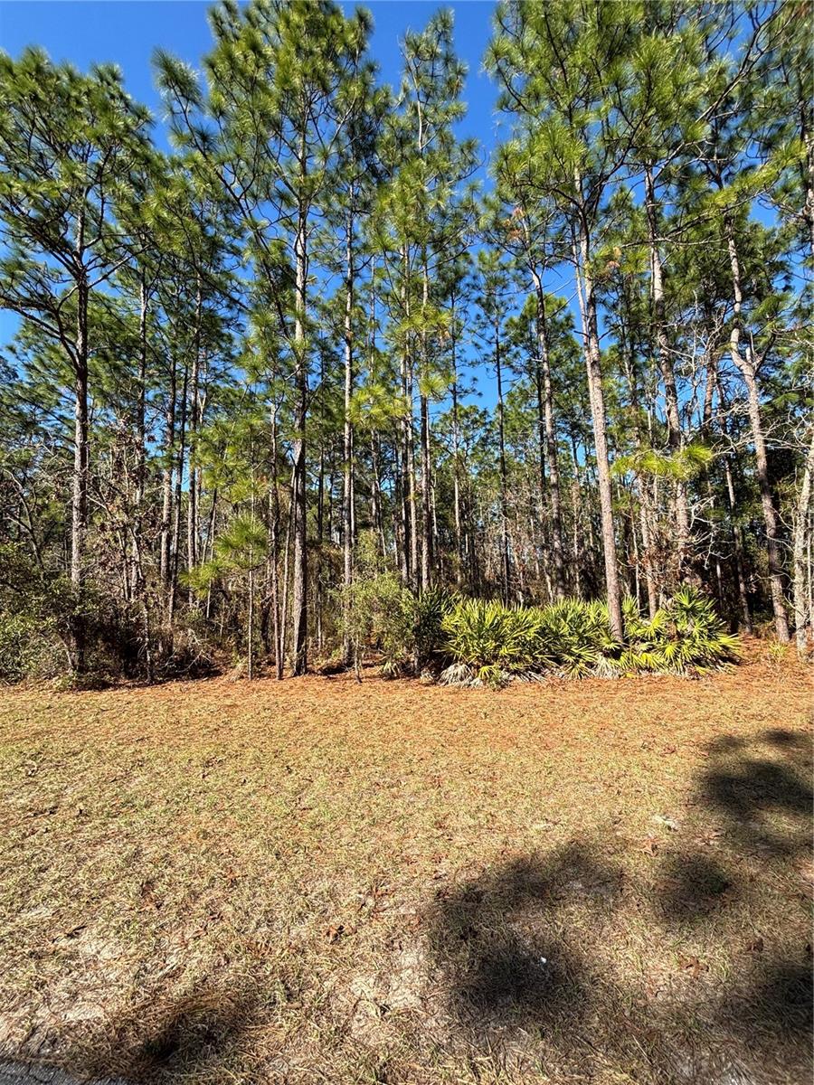Image 4 of 10 For Lot 5 138 Street Road