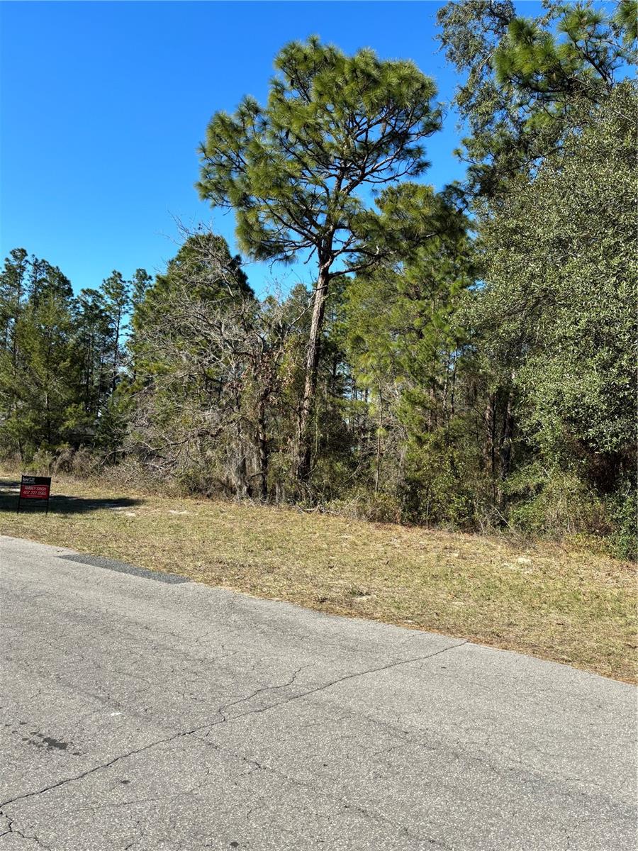 Image 6 of 10 For Lot 5 138 Street Road
