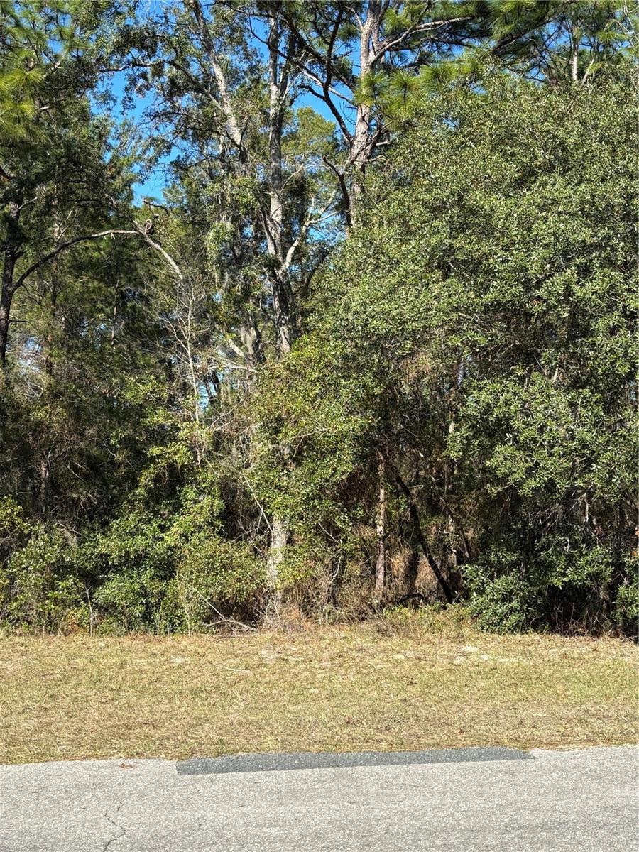 Image 8 of 10 For Lot 5 138 Street Road