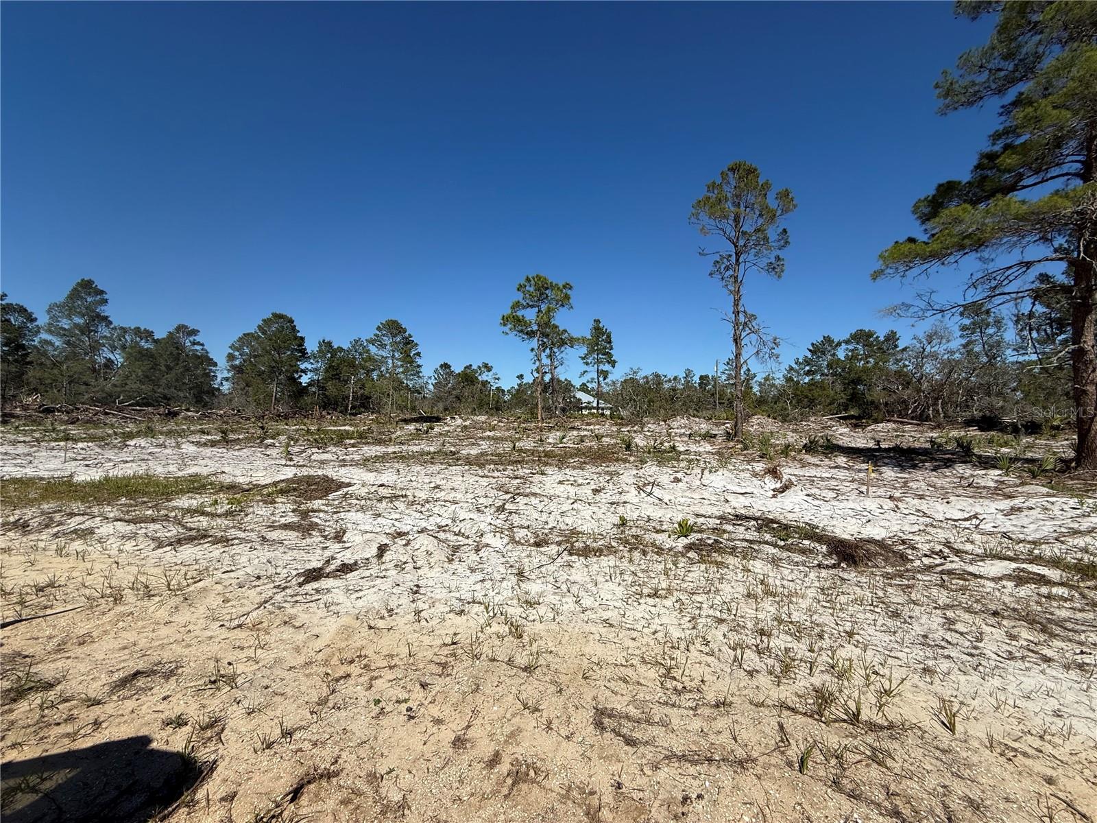 Details for 2972 Rutland Road, AVON PARK, FL 33825