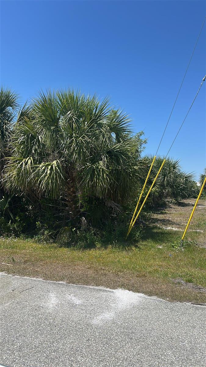 Image 11 of 15 For 14440 Fort Myers Avenue