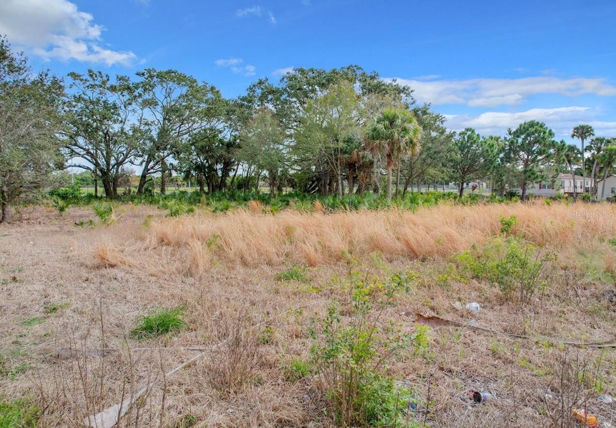 Image 6 of 23 For 275 Burnett Road