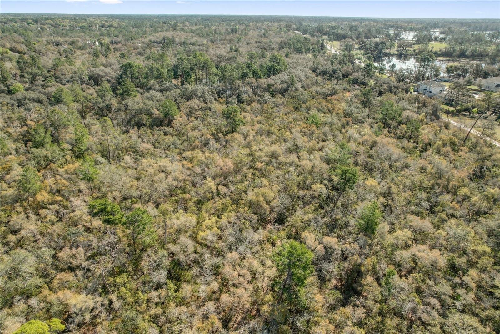 Image 12 of 38 For Illinois Avenue