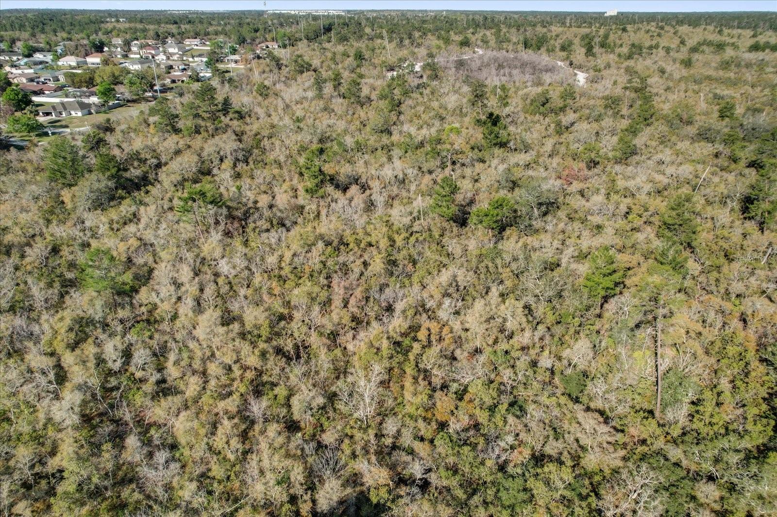 Image 14 of 38 For Illinois Avenue