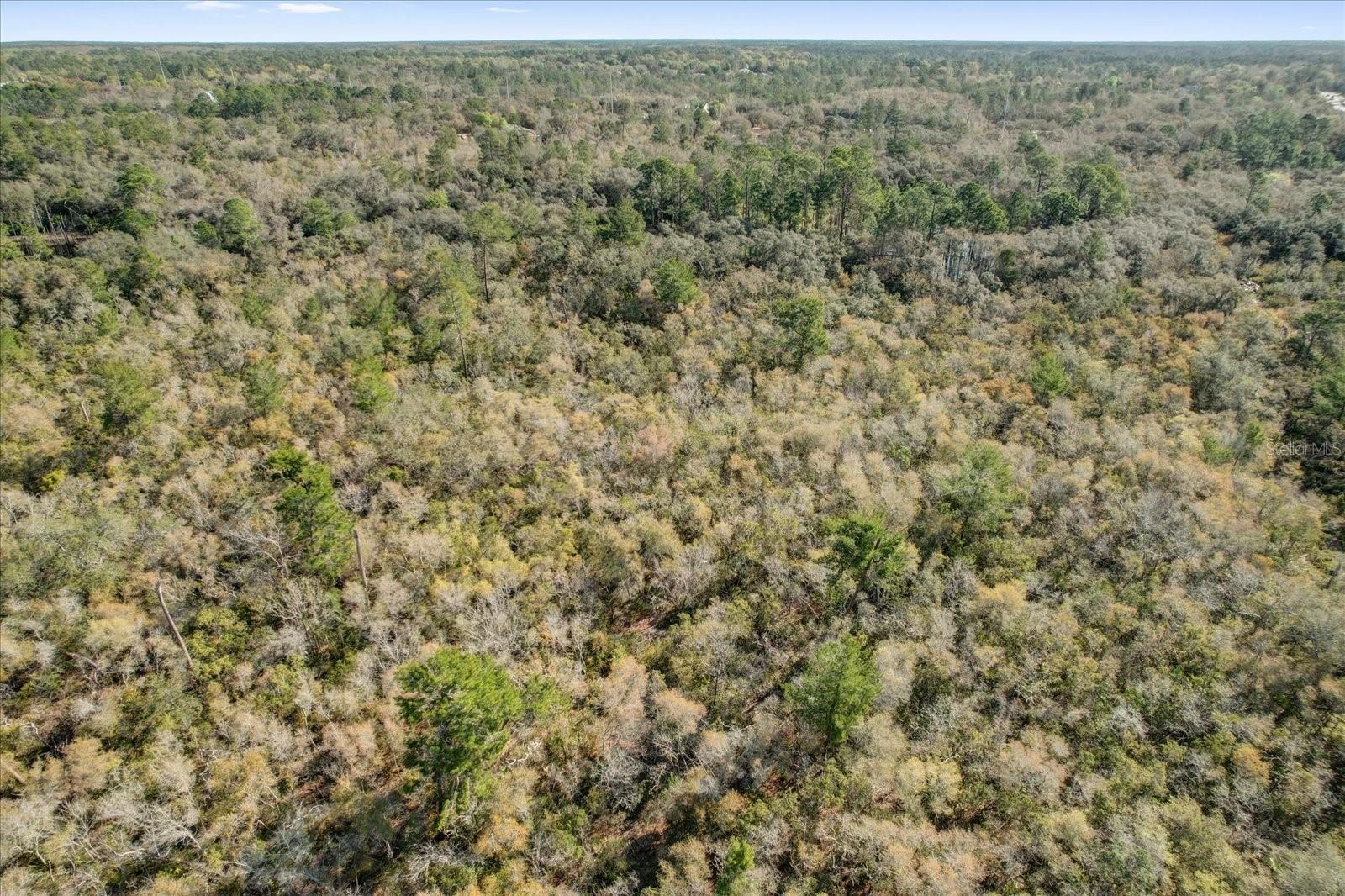 Image 9 of 38 For Illinois Avenue