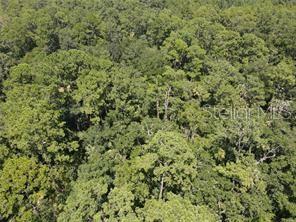 Listing Details for Salyers Road, CLERMONT, FL 34714