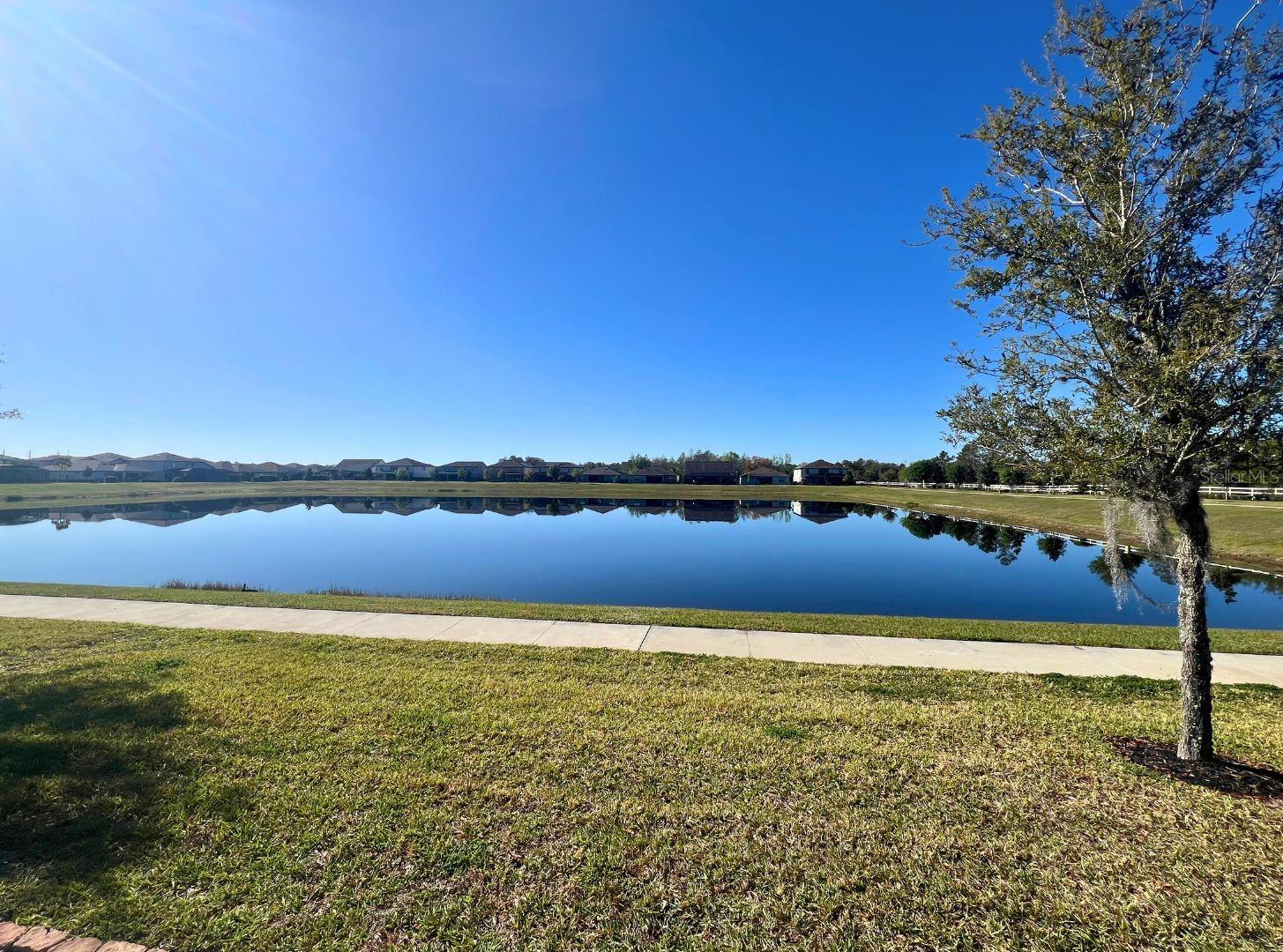 Image 36 of 53 For 5647 Barletta Drive