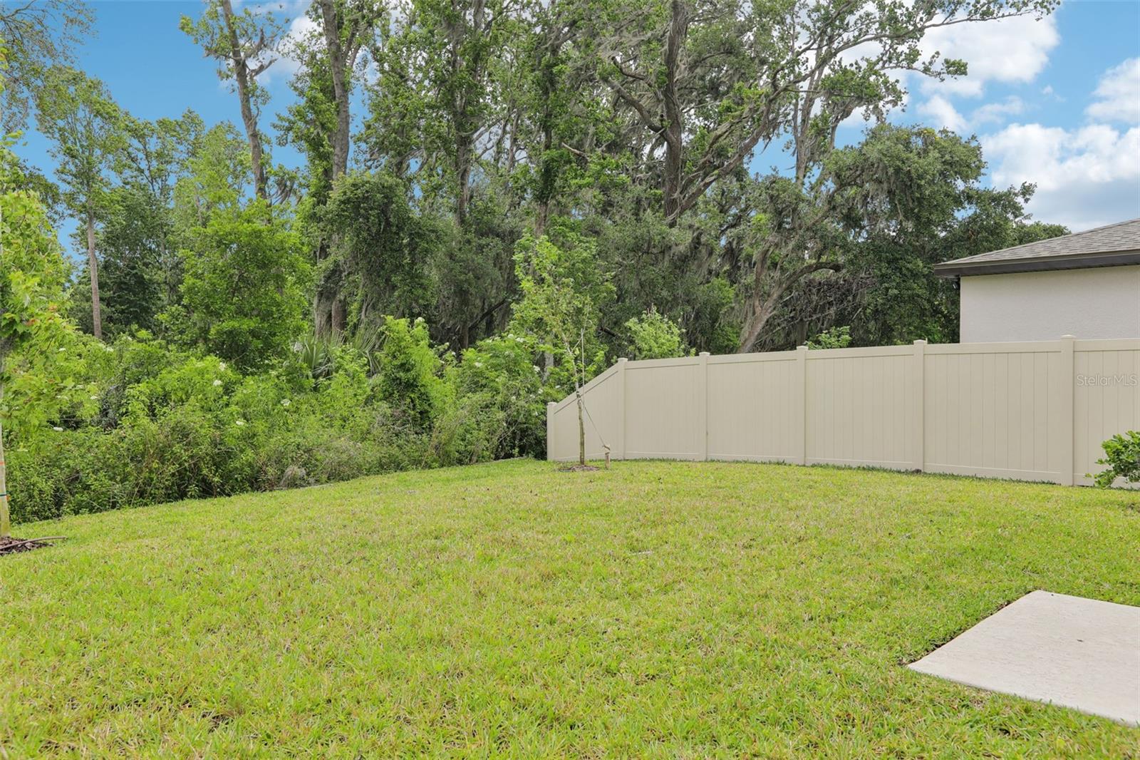Image 38 of 38 For 3824 Radiant Mountain Drive