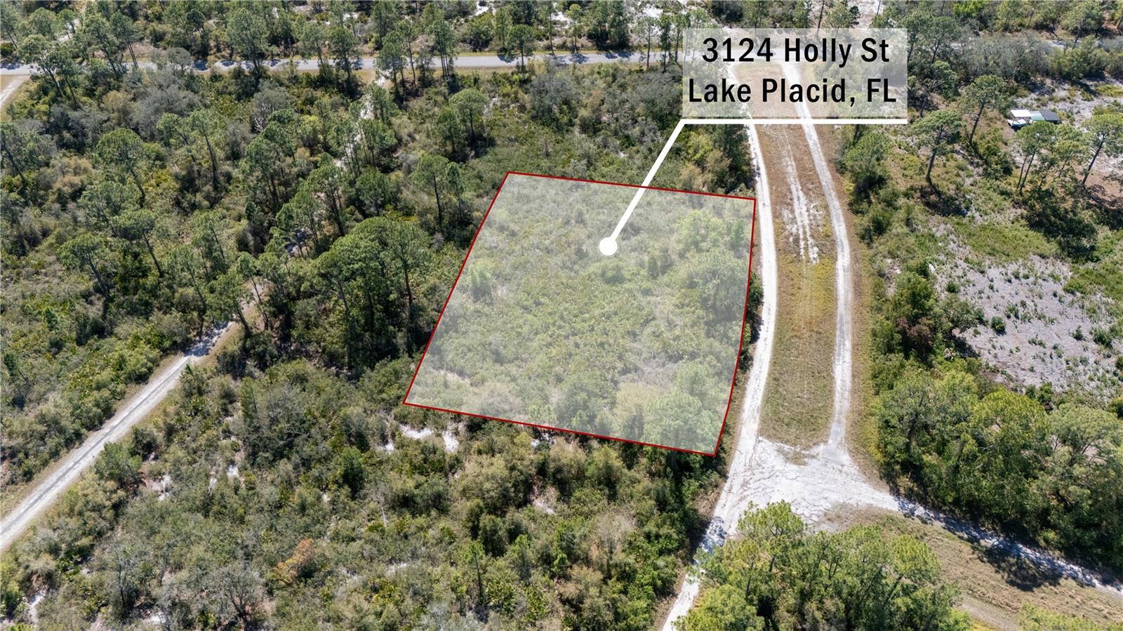 Image 3 of 20 For 3124 Holly Terrace