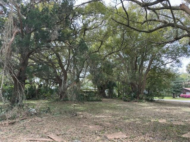 Image 2 of 6 For 00 Palmway Drive