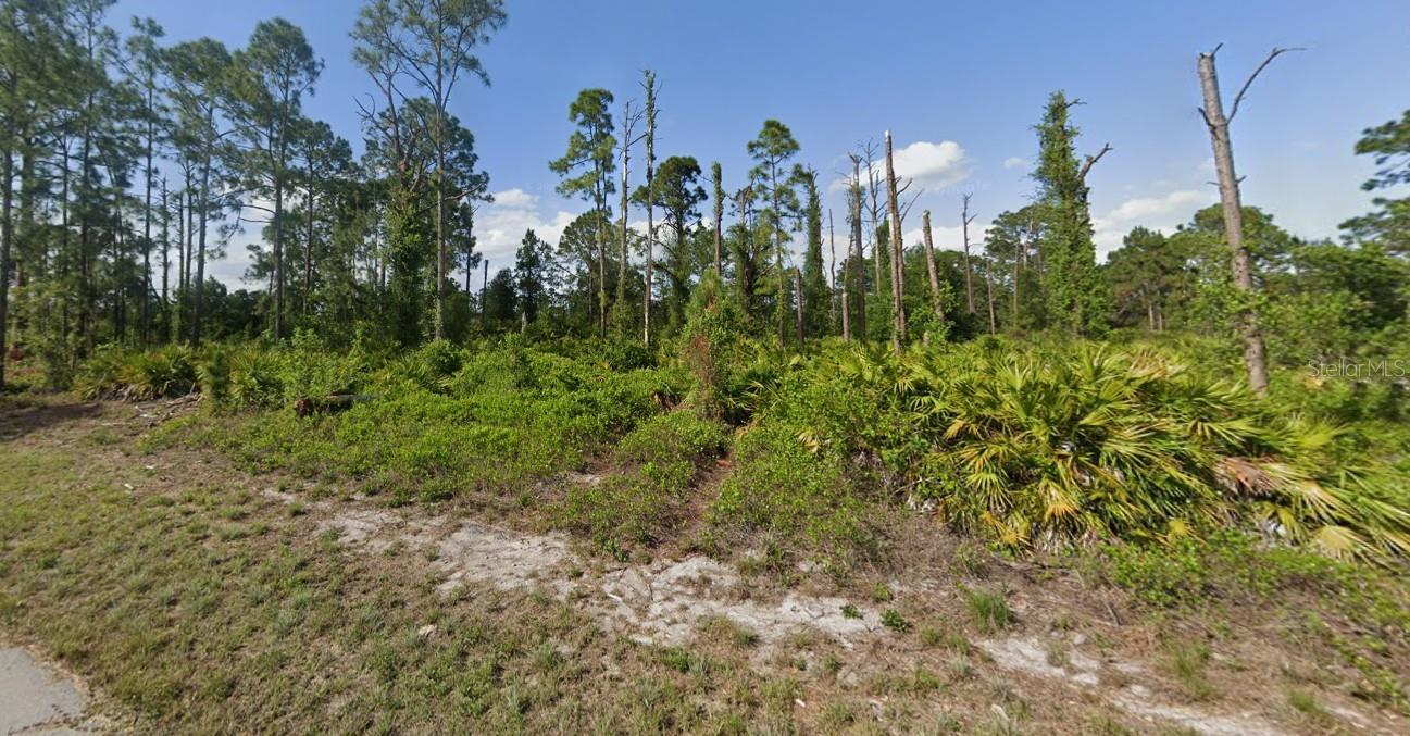 Details for 438 Wickham Avenue S, LEHIGH ACRES, FL 33974