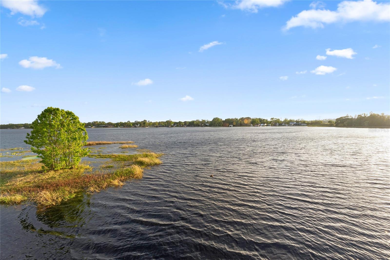 Image 93 of 100 For 10640 Lake Minneola Shores