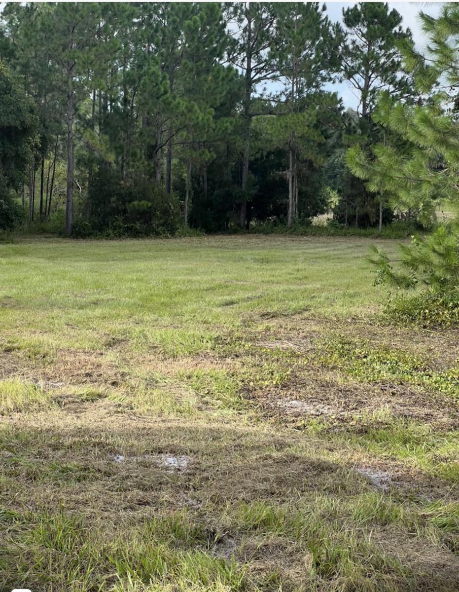 Image 11 of 22 For 226 Hunting Shortcut Road