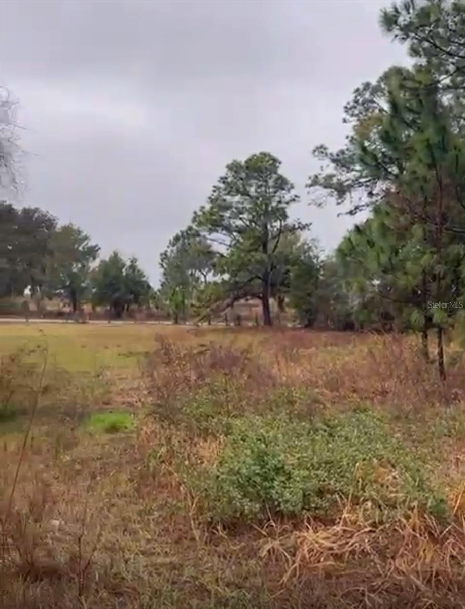 Image 21 of 22 For 226 Hunting Shortcut Road