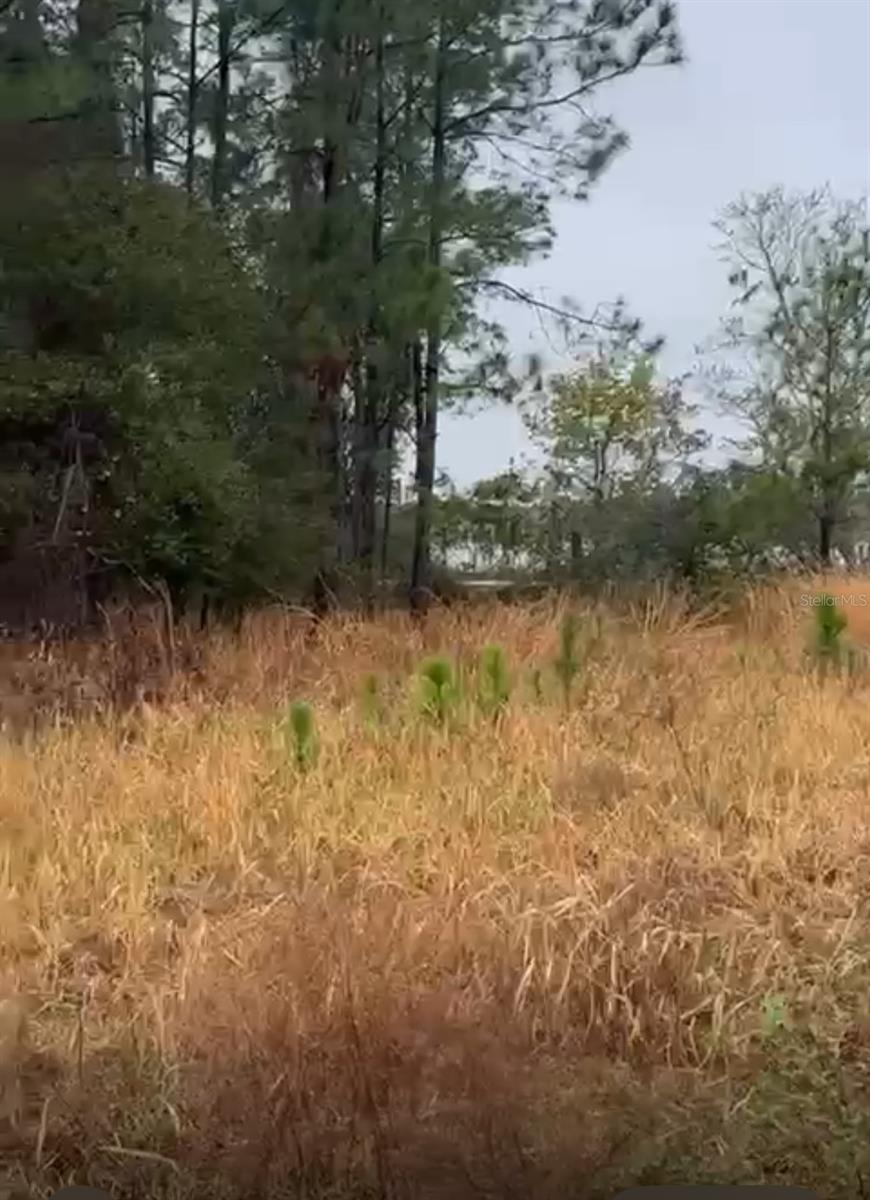 Image 7 of 22 For 226 Hunting Shortcut Road