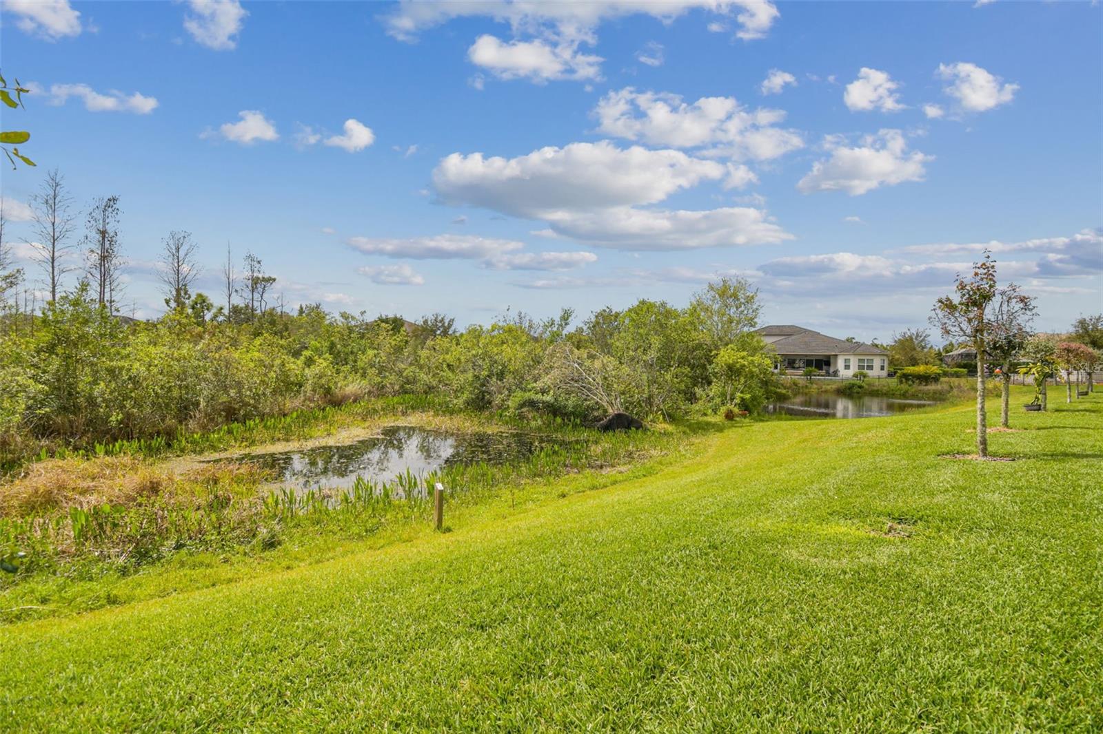 Image 88 of 100 For 2709 Coco Palm Circle