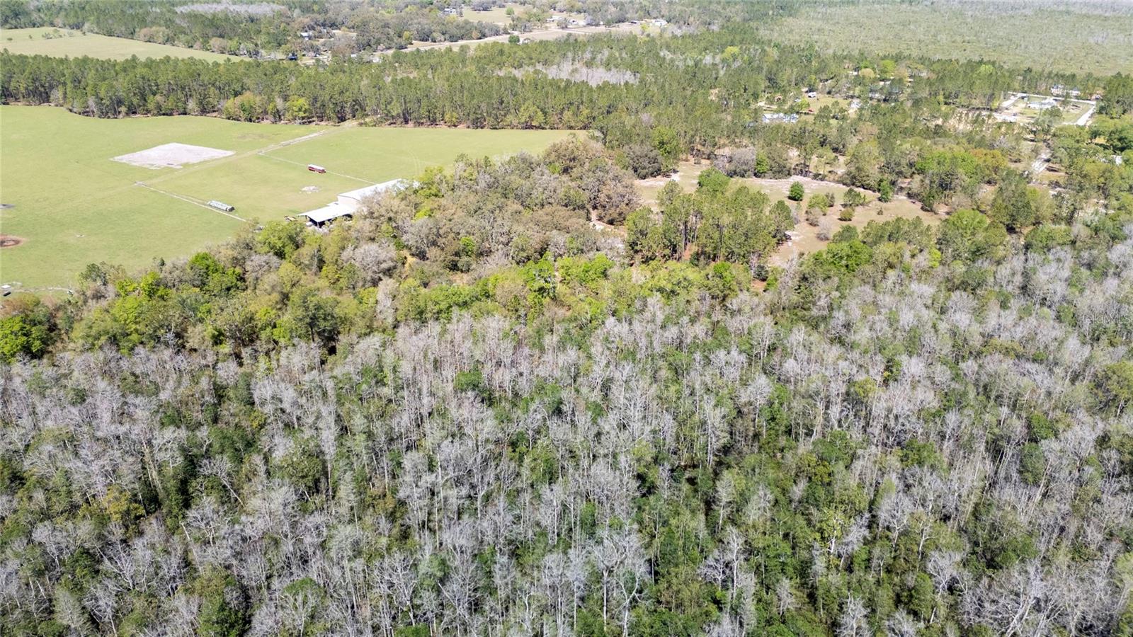Image 8 of 9 For 0 Alligator Road