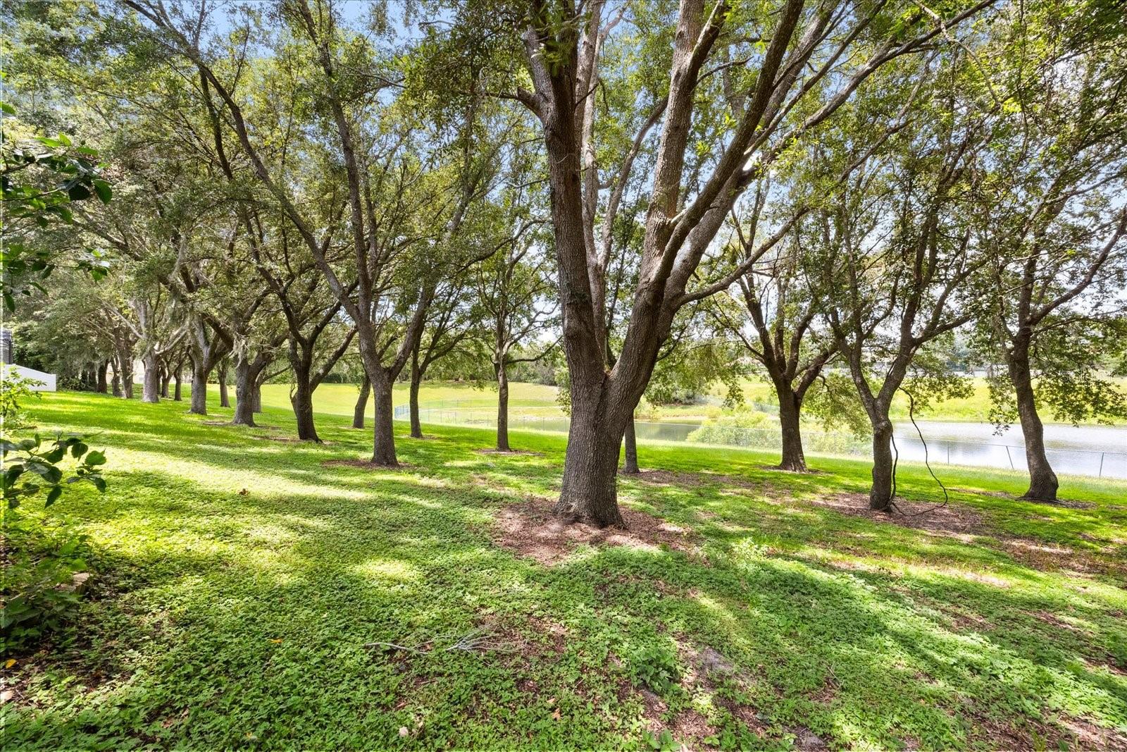 Image 38 of 39 For 2014 Applegate Drive