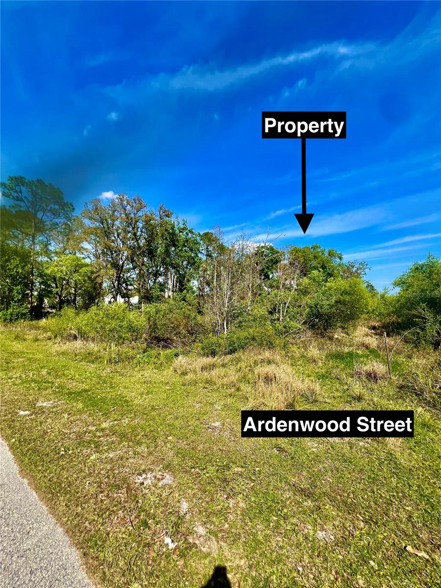 Listing photo id 0 for Ardenwood Street