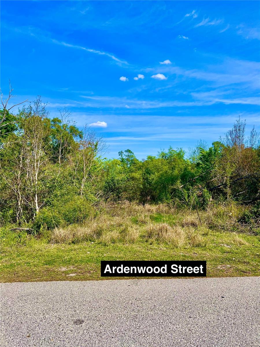 Listing photo id 1 for Ardenwood Street