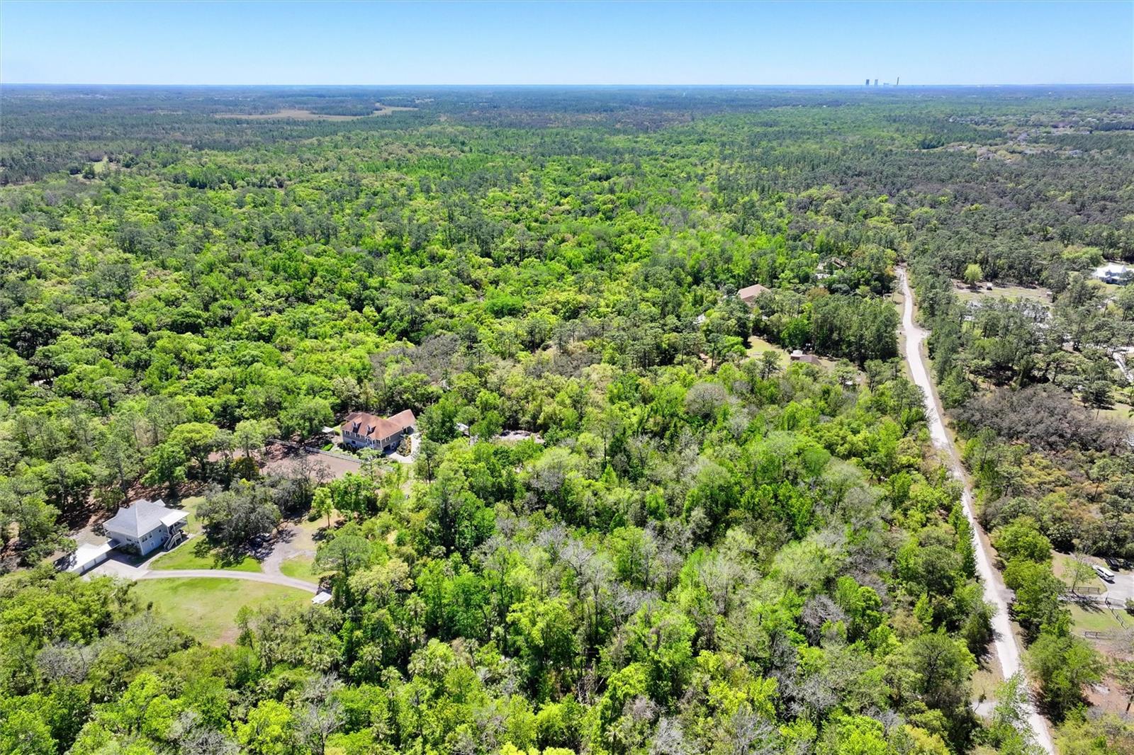 Image 61 of 66 For 3149 Scrub Oak Trail