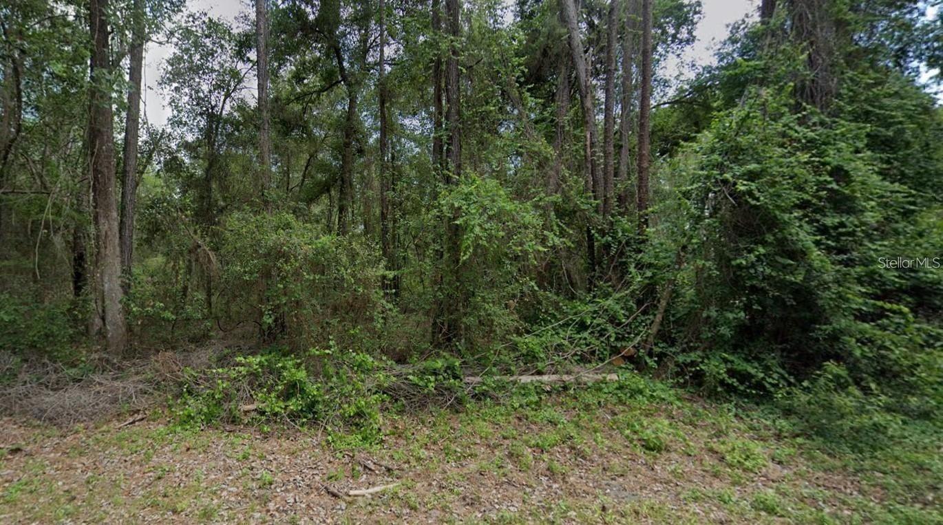 Listing Details for 9851 Daroca Way, CITRUS SPRINGS, FL 34434