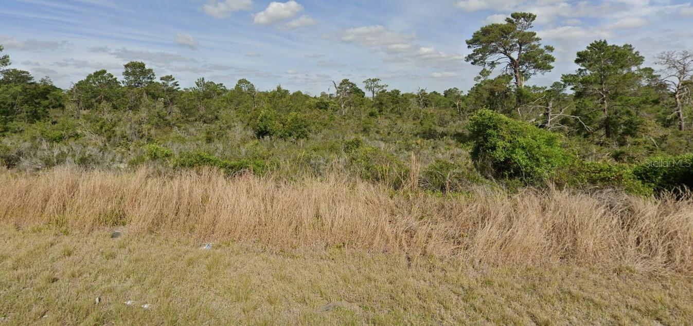 Listing Details for 239 Sandpiper Street, LAKE PLACID, FL 33852