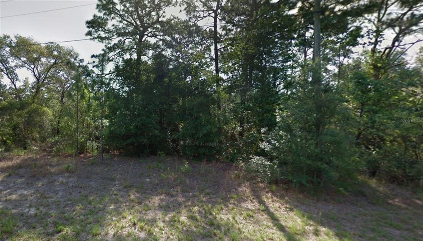 Listing photo id 1 for 9055 Amboy Drive