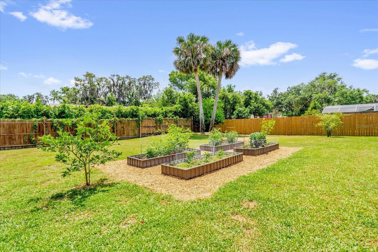 Listing photo id 29 for 1558 Regal Oak Drive