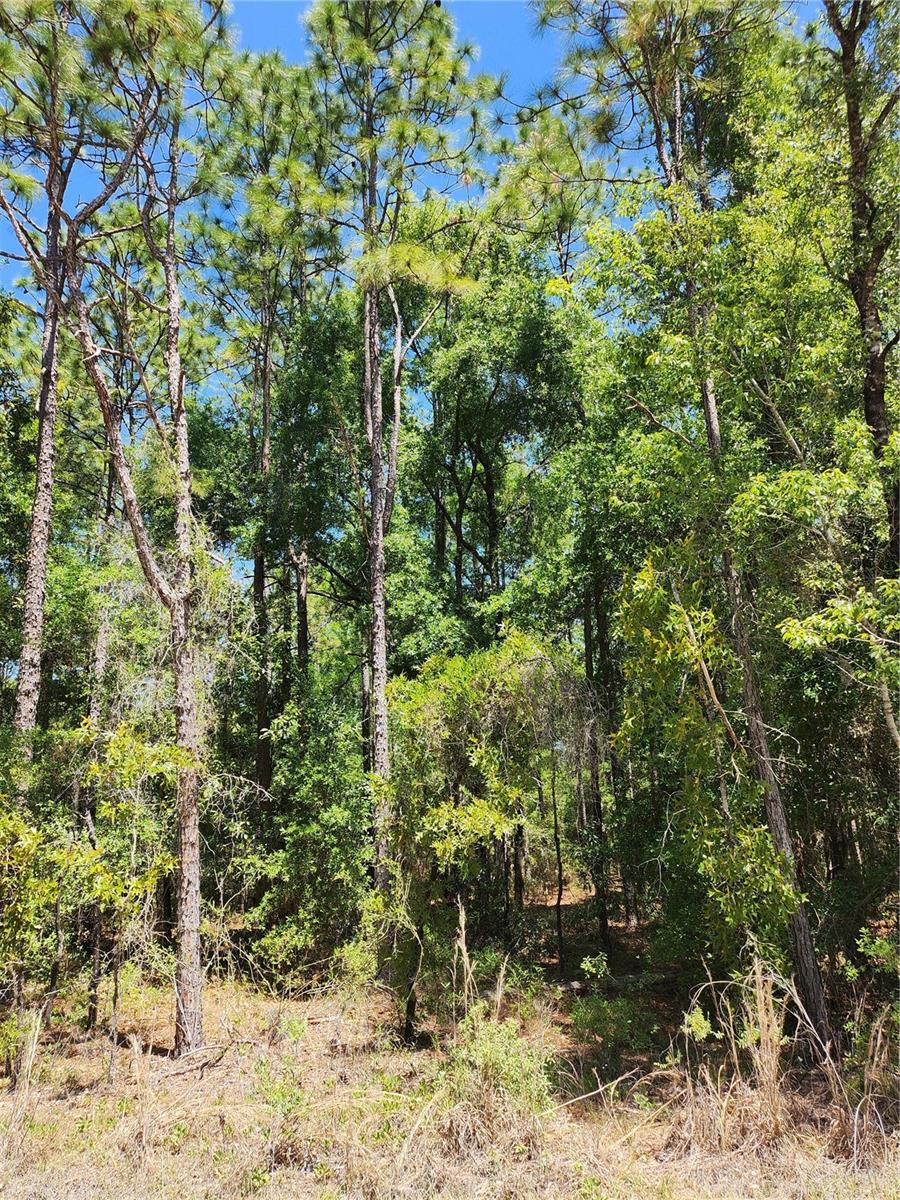 Image 4 of 6 For West 1-2 Of Lot 2, Block 177,  5
