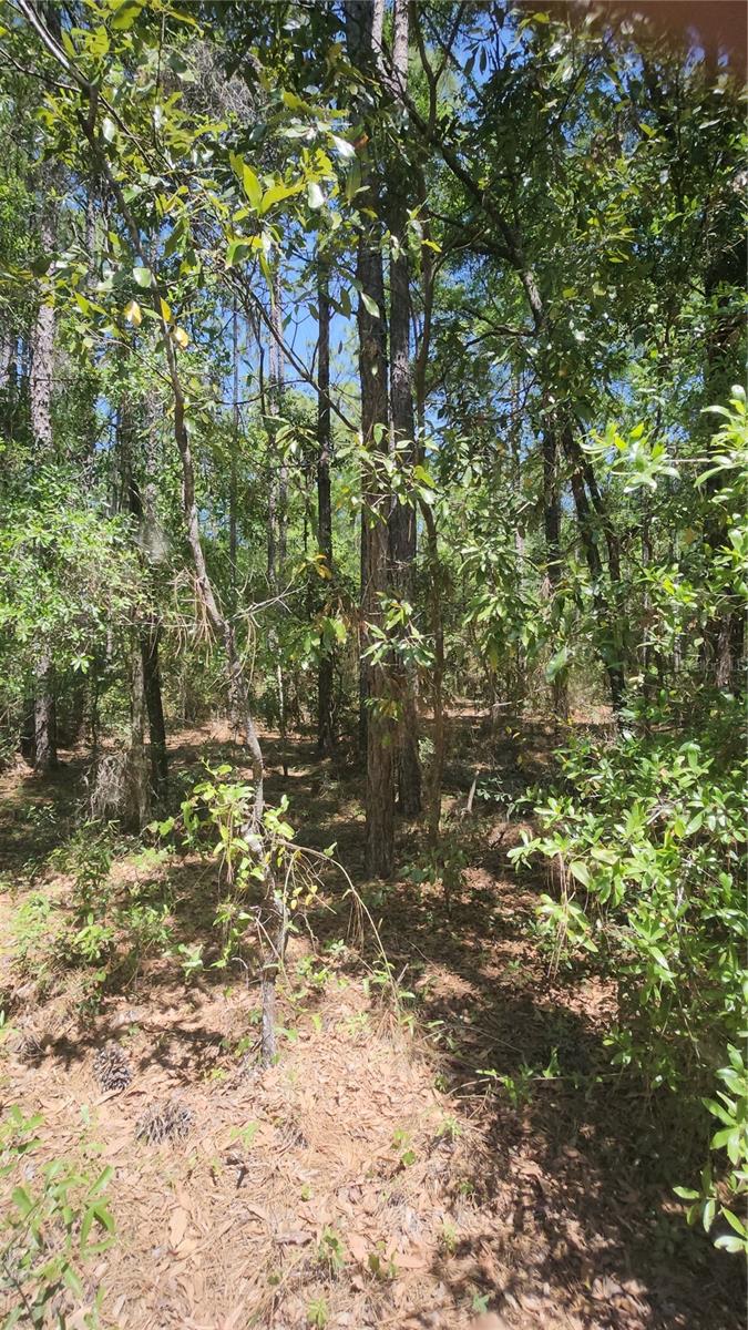 Image 5 of 6 For West 1-2 Of Lot 2, Block 177,  5