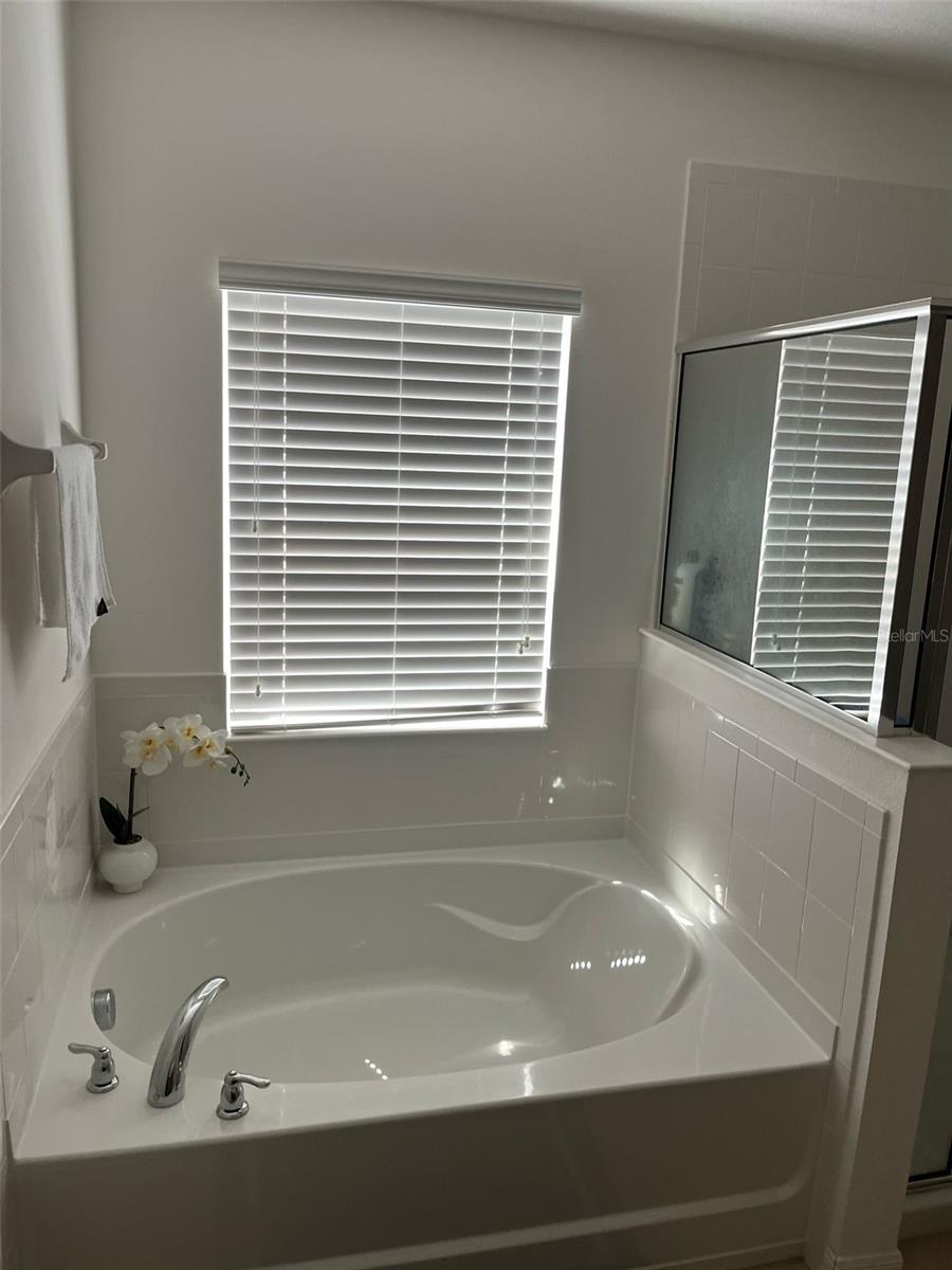 Image 11 of 23 For 279 Williamson Drive