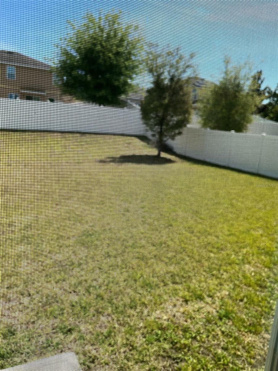 Image 7 of 23 For 279 Williamson Drive