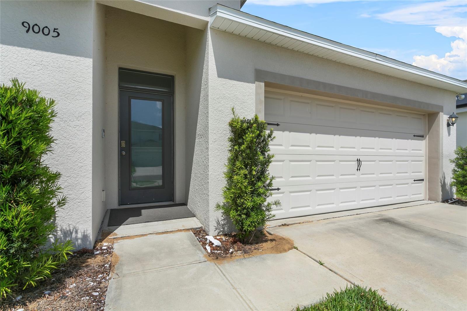 Image 16 of 47 For 9005 Tuscan Cypress Street