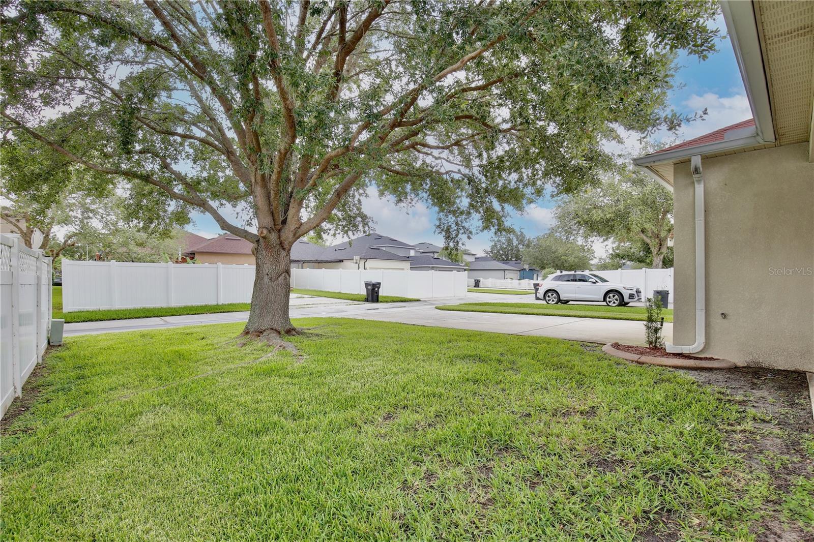 Image 25 of 42 For 14717 Royal Poinciana Drive