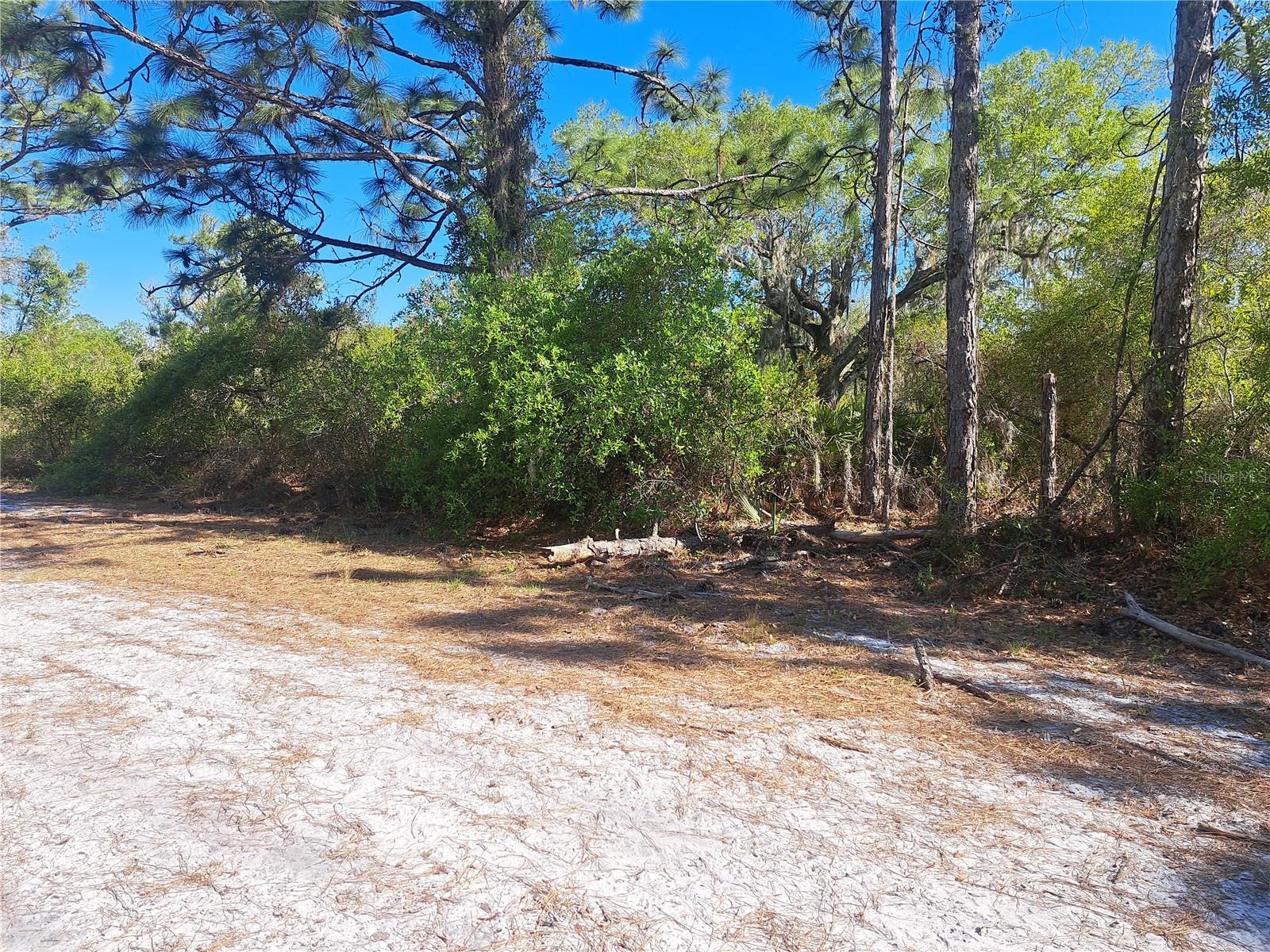 Image 10 of 14 For 604 Camellia Drive