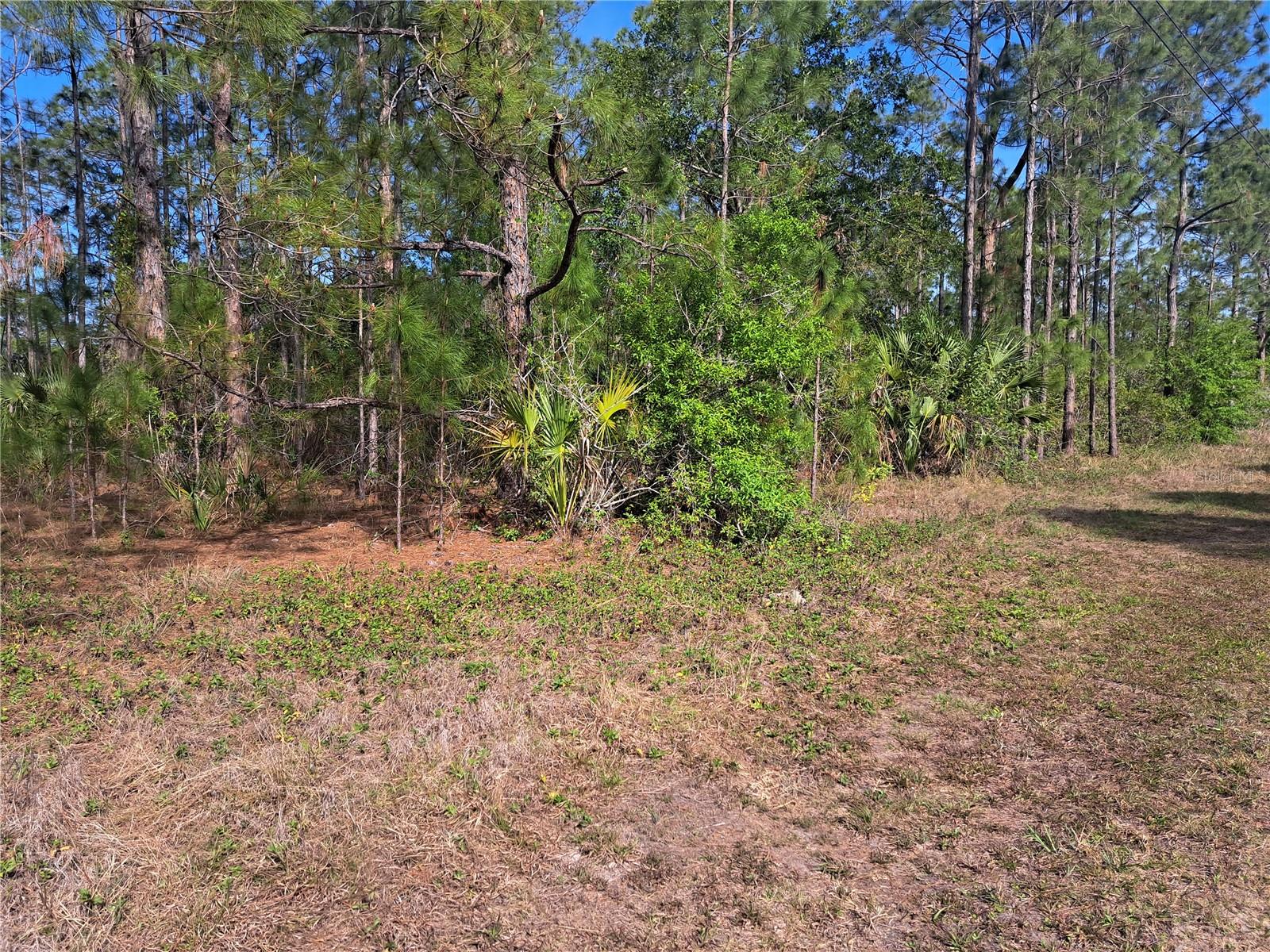 Image 11 of 14 For 604 Camellia Drive