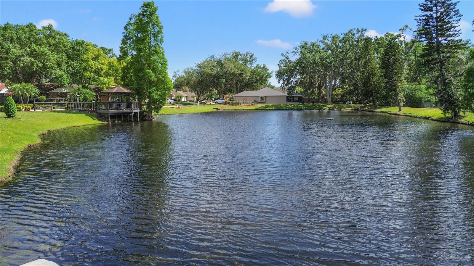 Image 50 of 50 For 6402 Beechnut Drive