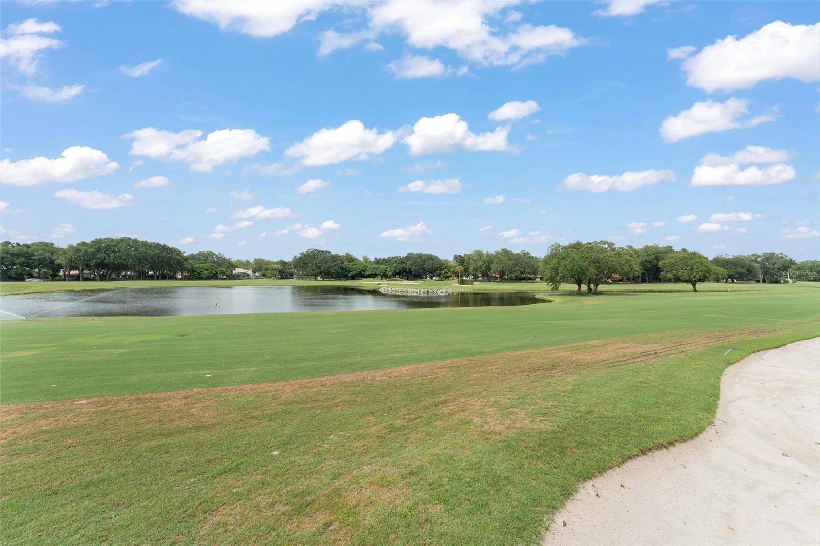 Image 9 of 15 For 6301 Parson Brown Drive