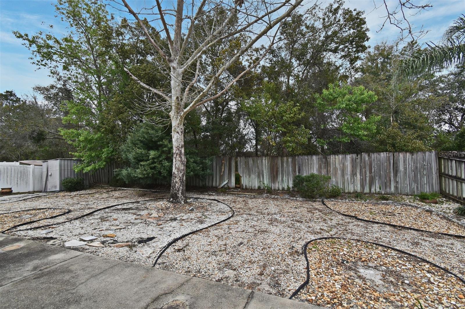 Image 42 of 48 For 238 Palmetto Springs Street