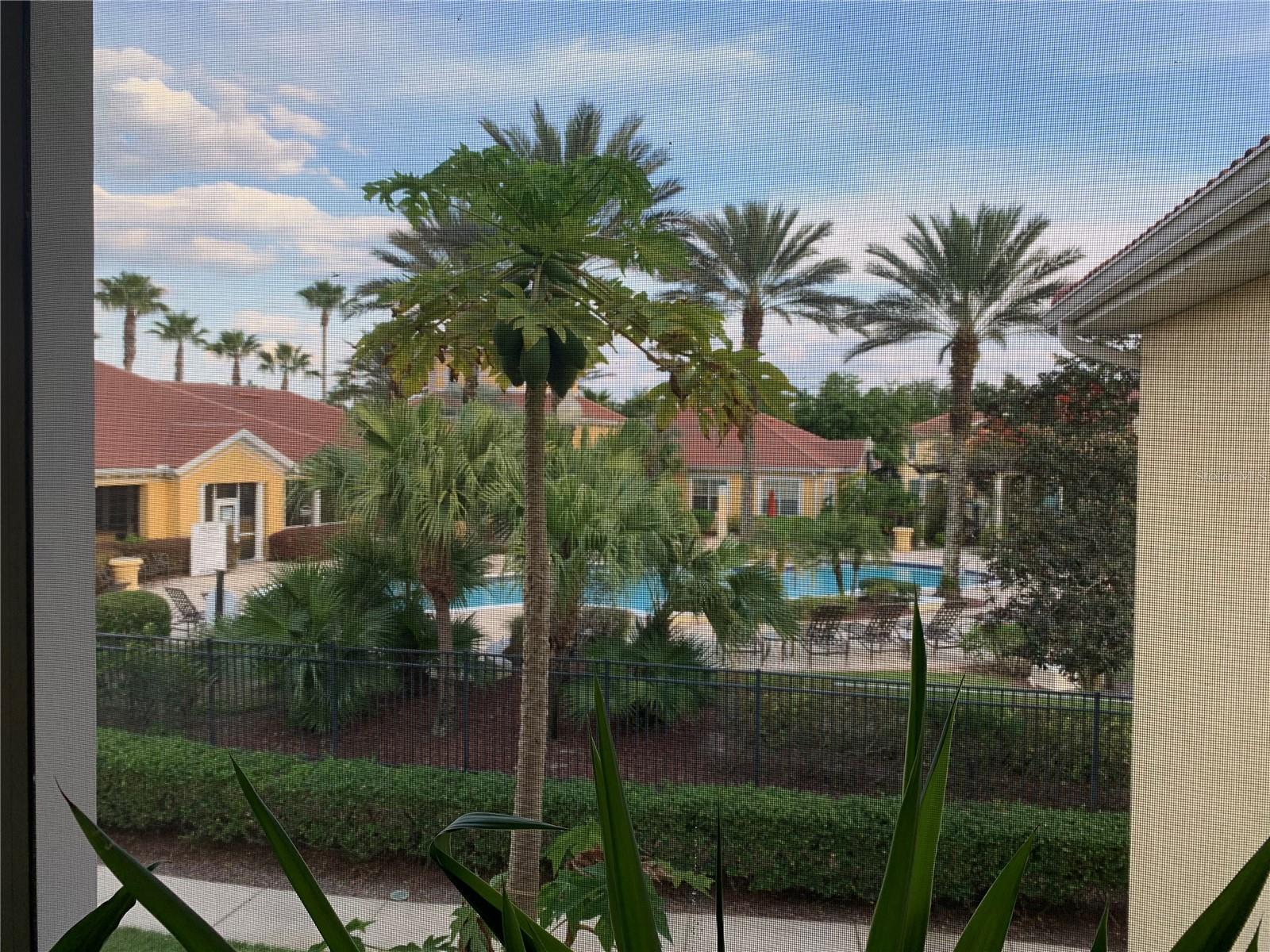 Image 20 of 23 For 12307 Lantana Park Lane 106