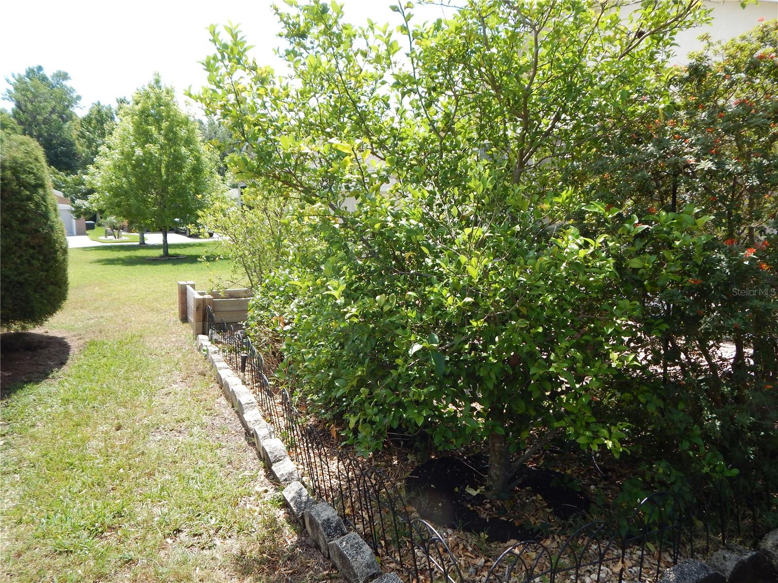 Image 36 of 43 For 236 Ridge View Drive