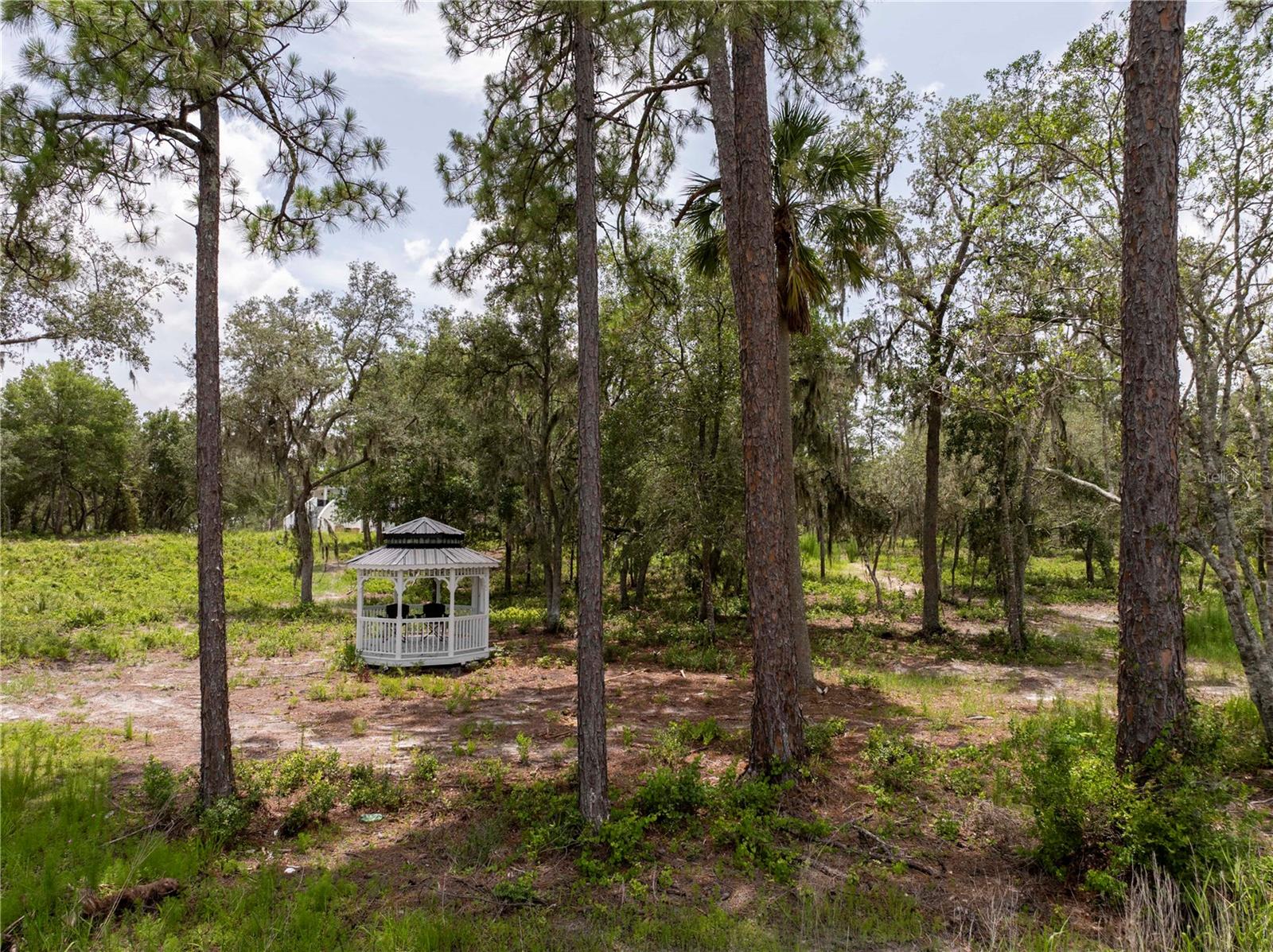 Image 74 of 97 For 32325 State Road 44