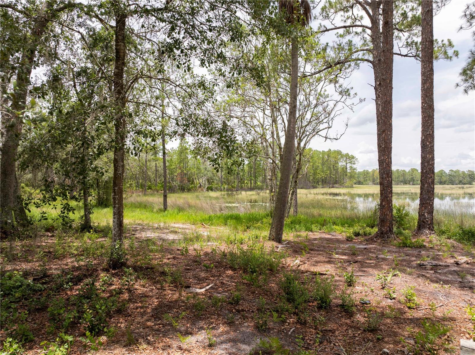 Image 75 of 97 For 32325 State Road 44