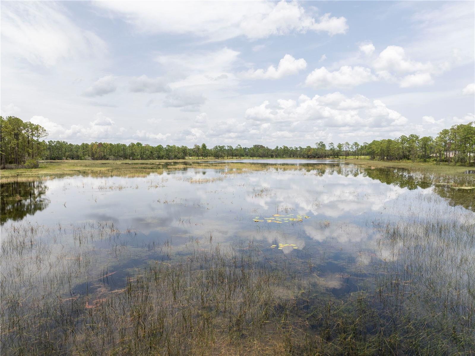 Image 76 of 97 For 32325 State Road 44