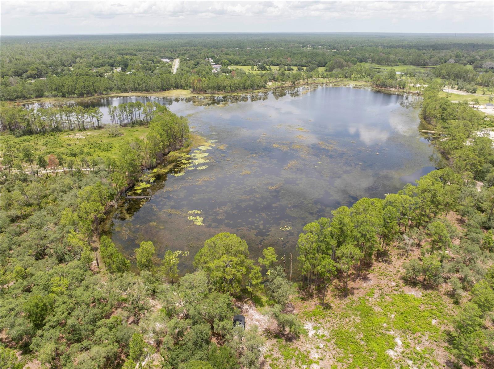 Image 77 of 97 For 32325 State Road 44